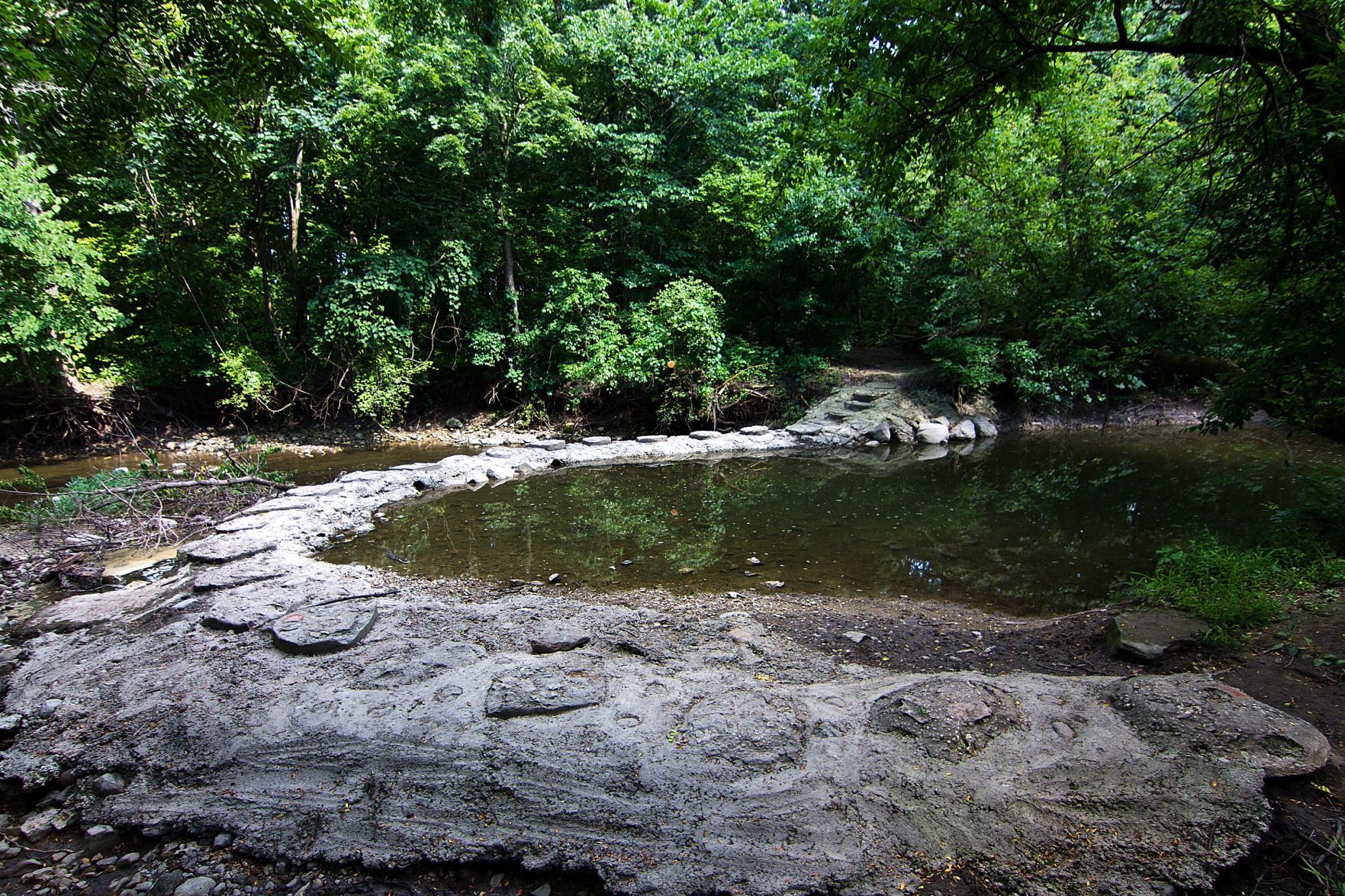 Humiston Woods